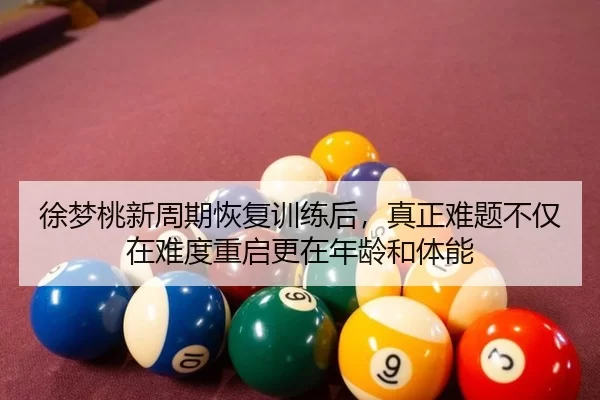 徐梦桃新周期恢复训练后，真正难题不仅在难度重启更在年龄和体能